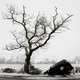 Illustration for article titled Drive Safely This Winter